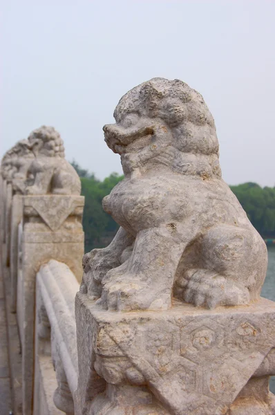 Каменный лев Стоковое Изображение