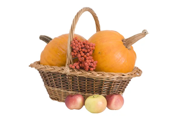 Wattled basket with two pumpkins — Stock Photo, Image
