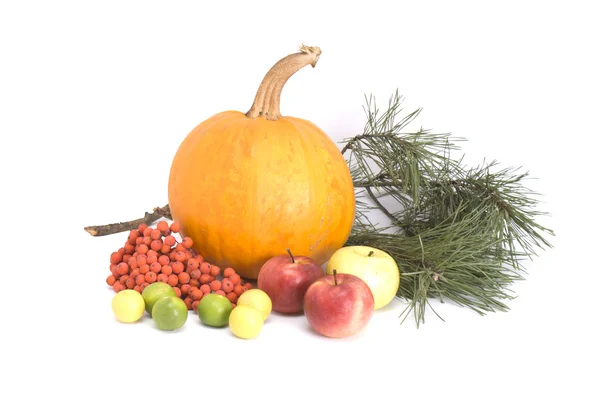 stock image Autumn still-life