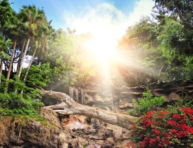 Picture of a tropical background clipart