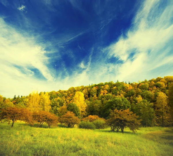 Piękny Widok Krajobraz Jesienny — Zdjęcie stockowe