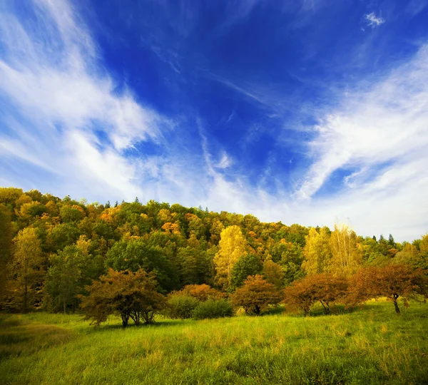 Mooie Herfst Landschapsmening — Stockfoto