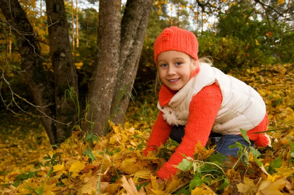 Красива маленька дівчинка з осіннім листям — стокове фото
