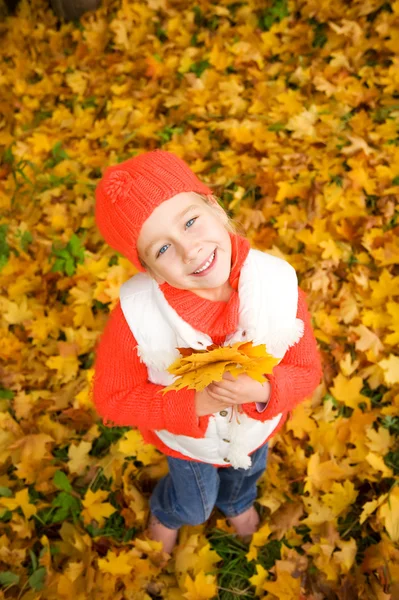 Красивая маленькая девочка с осенними листьями — стоковое фото