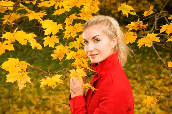 Mujer joven en bosque de otoño — Foto de Stock