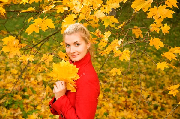 Mujer joven en bosque de otoño — Foto de Stock