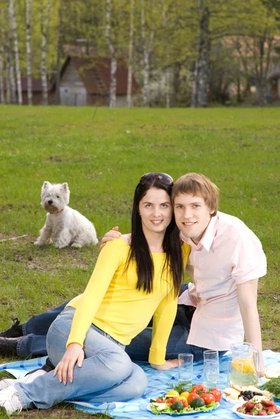 在浪漫的野餐的年轻夫妇 — 图库照片