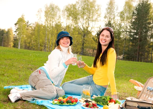 Две Красивые Девушки Пикнике — стоковое фото