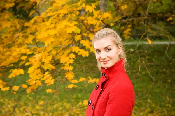 Jonge vrouw in herfst bos — Stockfoto