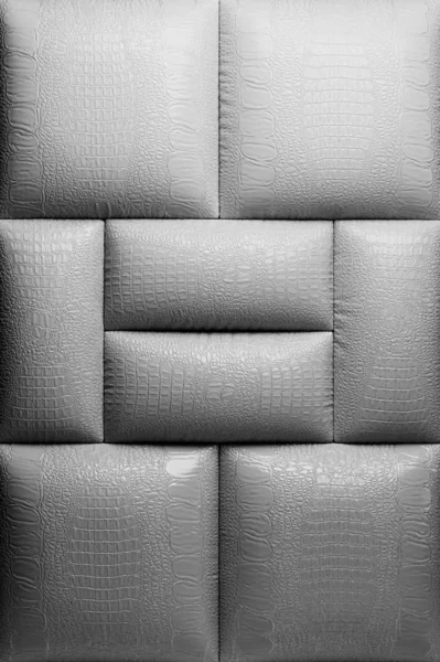 Picture Genuine Leather Upholstery — Stock Photo, Image