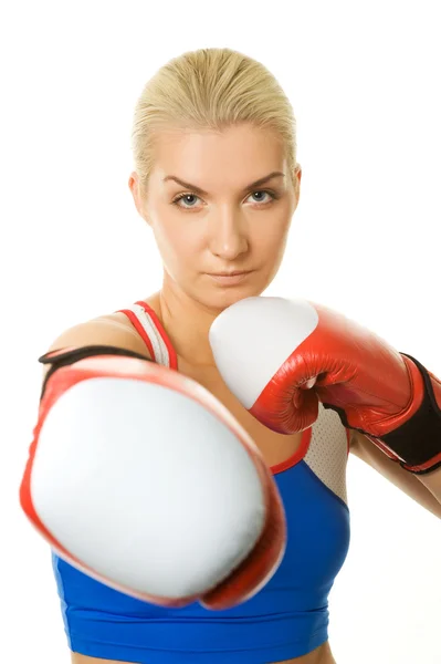 Portret dziewczyny, bokser — Zdjęcie stockowe