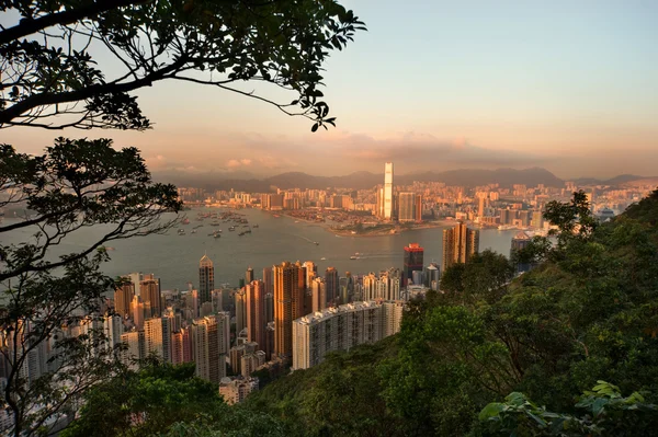 Hong Kong City View Vom Victoria Peak — Stockfoto