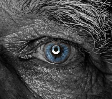 Monochrome picture of a human eye clipart