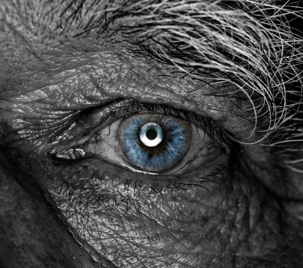 Černobílý Obrázek Lidského Oka — ストック写真