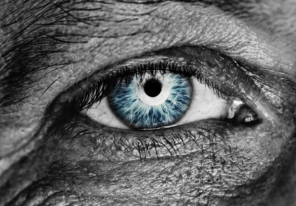 Monochromes Bild Eines Menschlichen Auges — Stockfoto