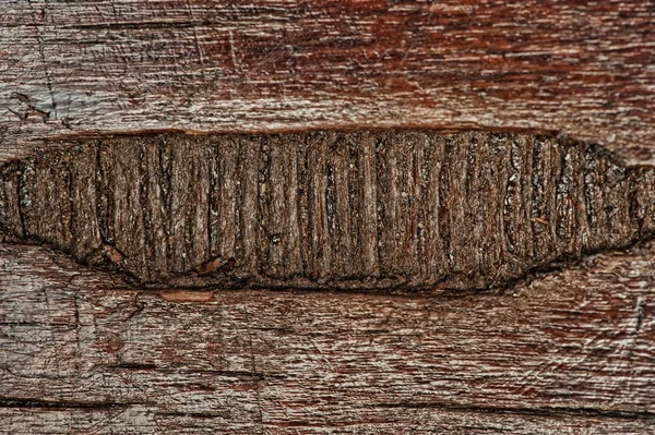Zobacz Streszczenie Tekstura Drewniane — Zdjęcie stockowe
