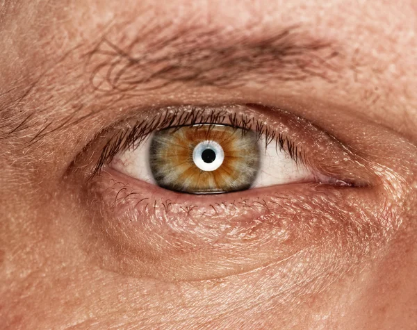 Εικόνα Του Ένα Ανθρώπινο Μάτι — Φωτογραφία Αρχείου