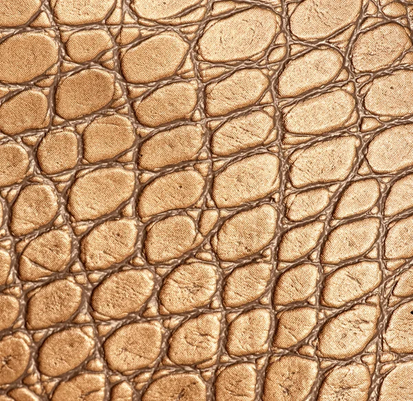 Picture Genuine Leather Texture — Stock Photo, Image