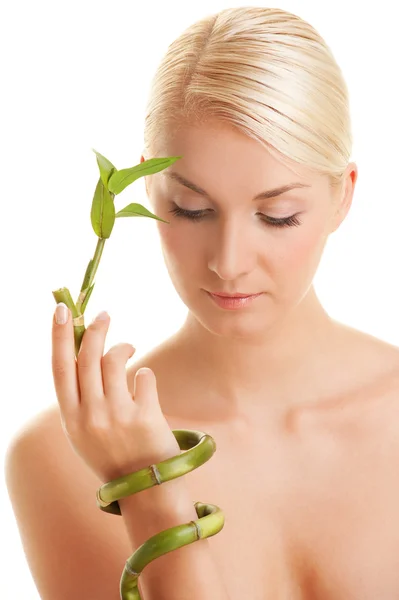 Kadın ile bir bambu bitki — Stok fotoğraf