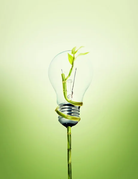 Vue Ampoule Favorable Environnement — Photo