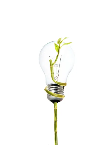 Milieu Vriendelijke Lamp Weergave — Stockfoto