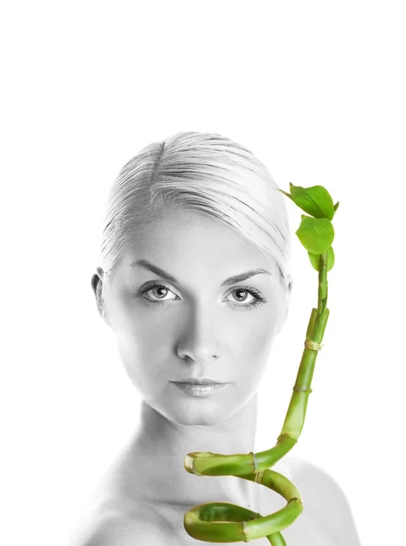Woman with bamboo leaves — Stock Photo, Image