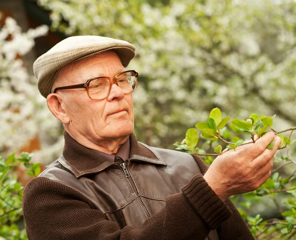 Homem idoso feliz em um jardim — Fotografia de Stock