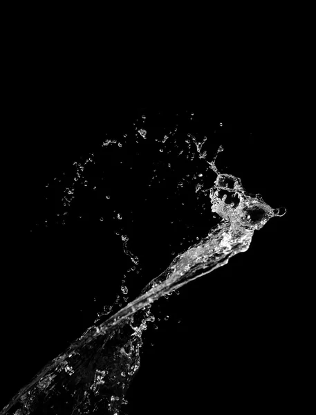 Elegáns víz csobbanás — Stock Fotó