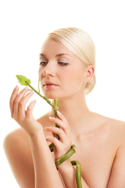 Beautiful woman with a bamboo plant — Stock Photo, Image