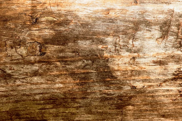 Анотація дерев'яні текстури — стокове фото