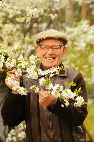 Glad äldre man i trädgården — Stockfoto