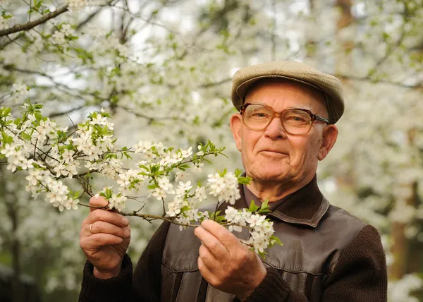 Felice uomo anziano in un giardino — Foto Stock