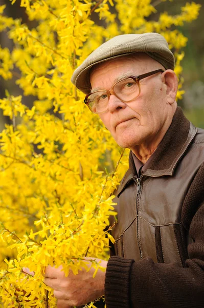 Oudere man aan het werk in de tuin — Stockfoto