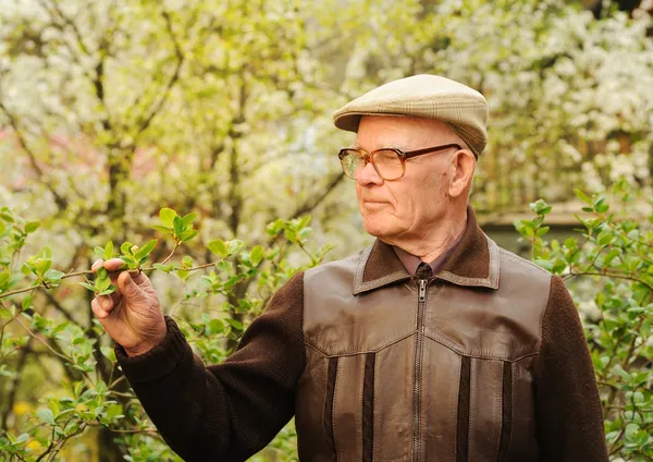 Elderly man working in garden — Stock Photo, Image