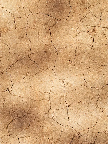 Dry soil texture — Stock Photo, Image