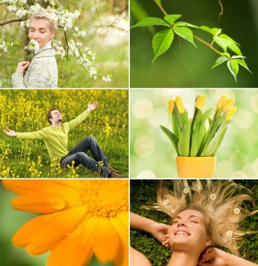 Spring collage clipart