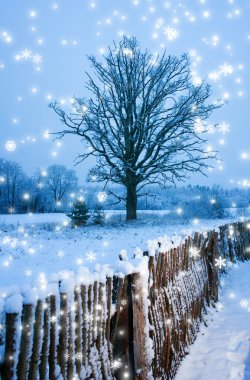 Beautiful winter scenic clipart