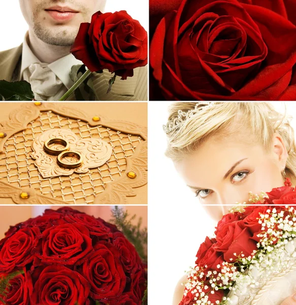 Bridal collage — Stock Photo, Image