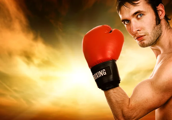 Handsome young boxer — Stock Photo, Image