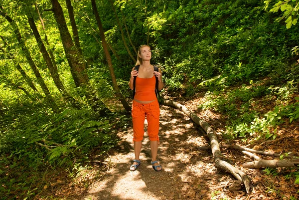 Turista perdido en el bosque —  Fotos de Stock