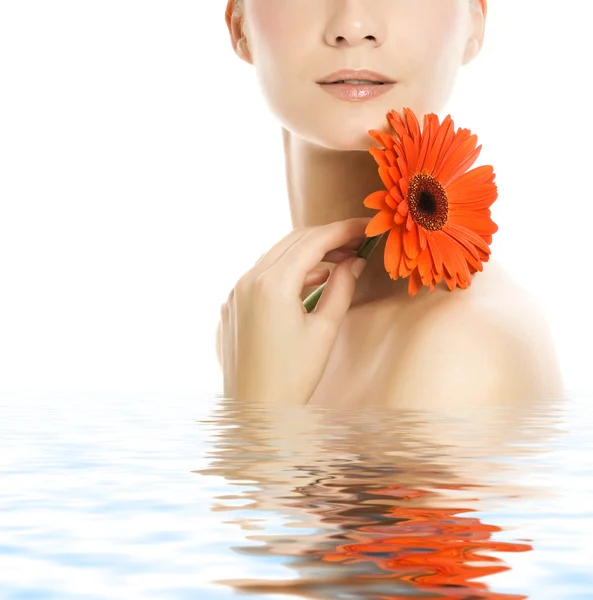 Beautiful woman with gerber flower — Stock Photo, Image