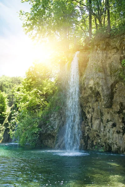 Sunrise over waterfall in wild forest — Stock Photo, Image