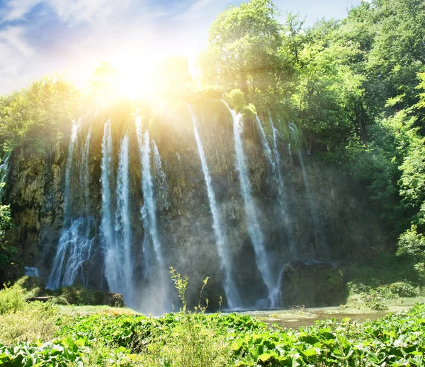 Sunrise over waterfall in wild forest — Stock Photo, Image