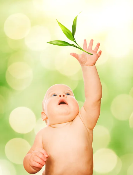 Beautiful baby trying to catch green leaf — Stock Photo, Image