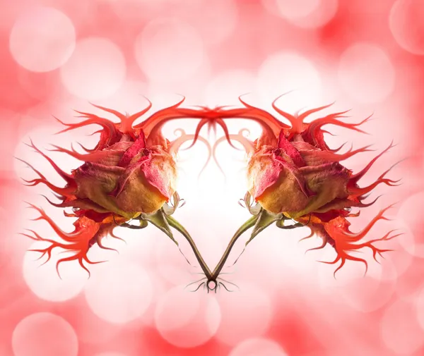 Stylish rose heart — Stock Photo, Image