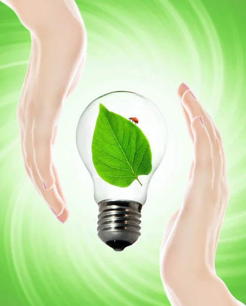 Miljö vänliga lampa — Stockfoto