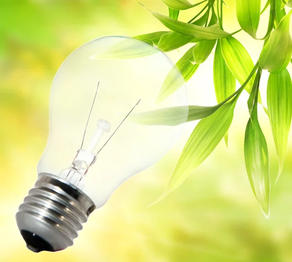 Milieu vriendelijke lamp — Stockfoto