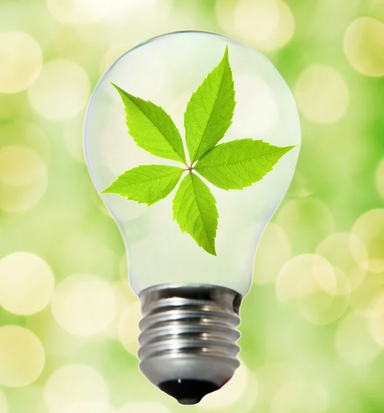Miljö vänliga lampa — Stockfoto