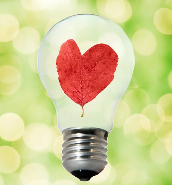 Environment friendly bulb — Stock Photo, Image