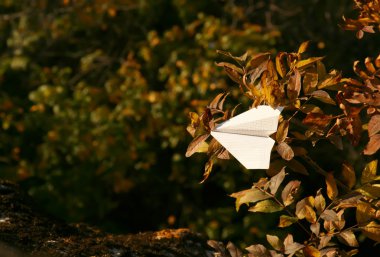 Paper plane in branches clipart